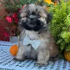 504131299_hd Hugo